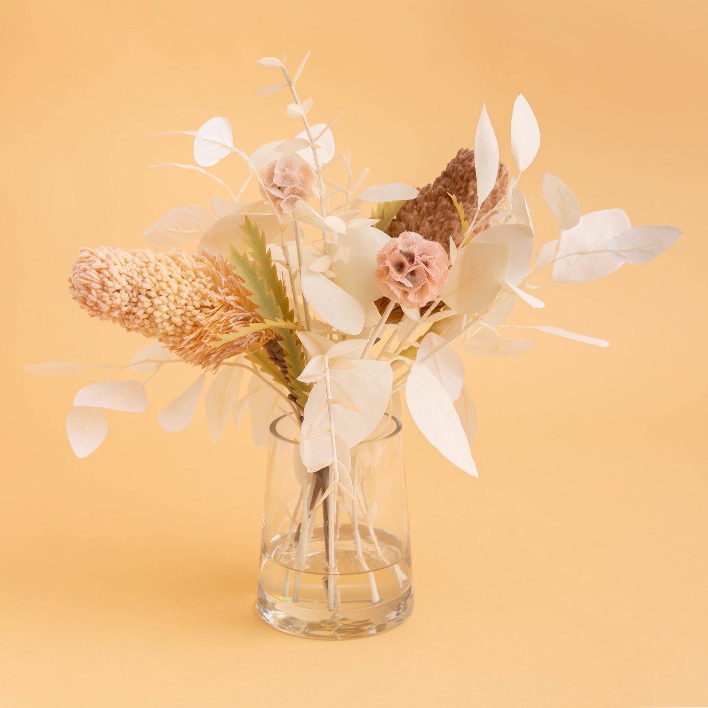Banksia Acorn Mix