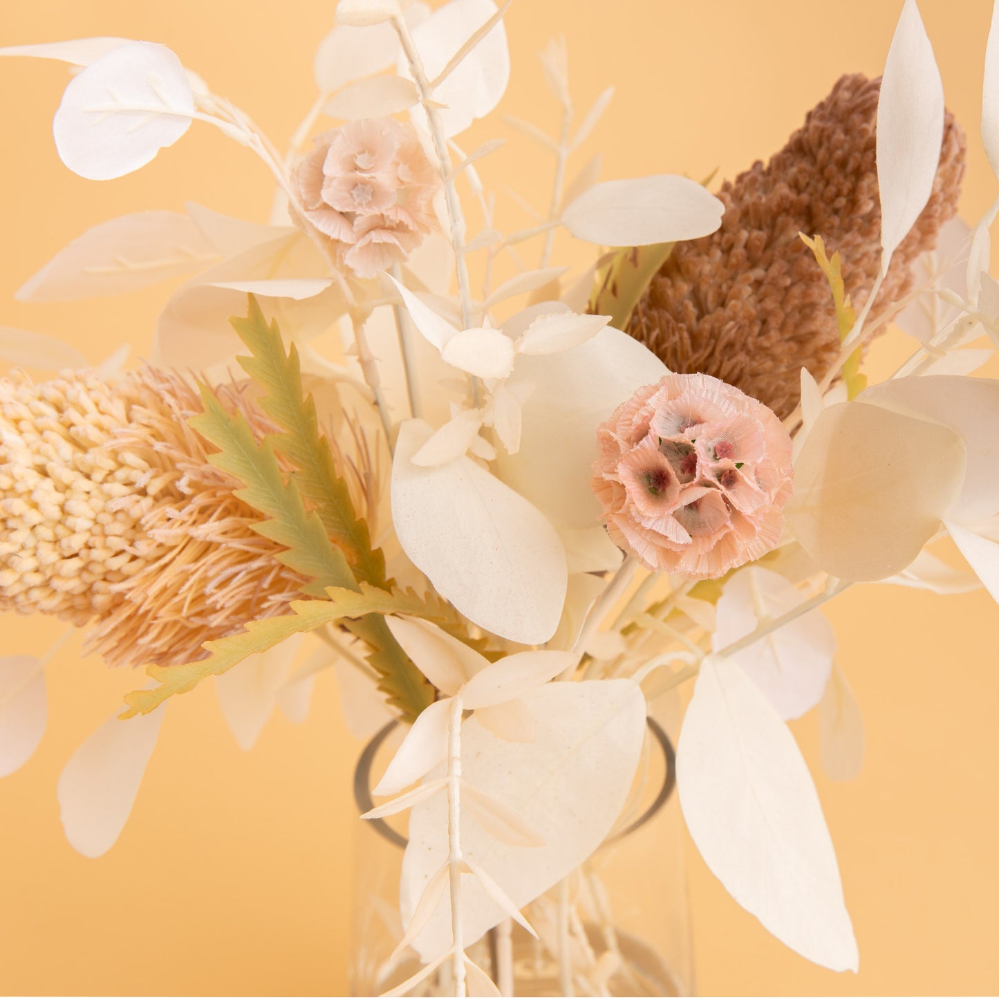 Banksia Acorn Mix