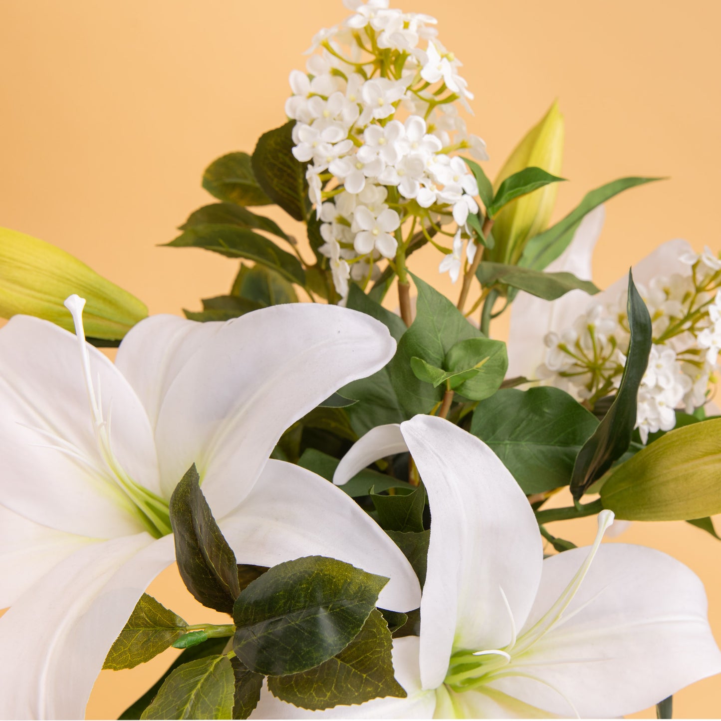 Casablanca Lily Garden