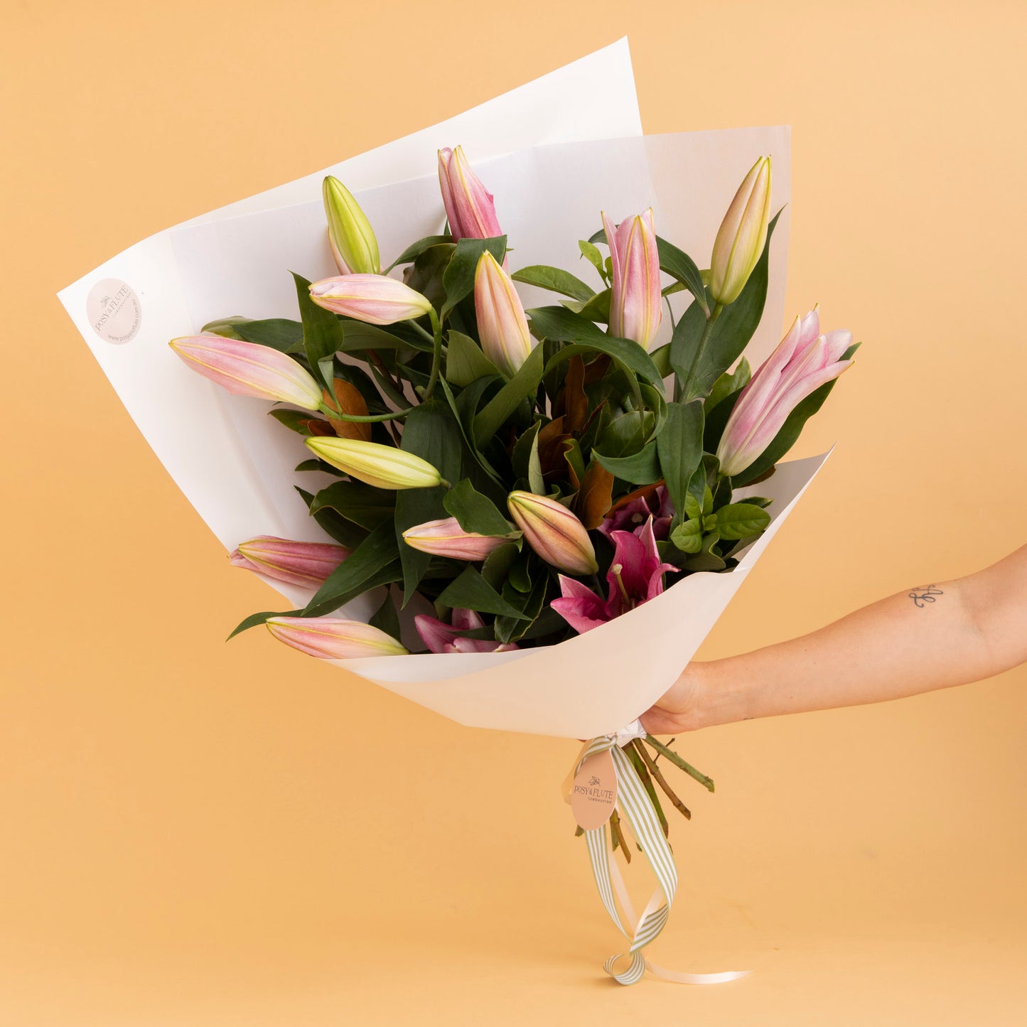 Oriental Lily - Classic
