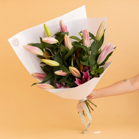Oriental Lily - Classic