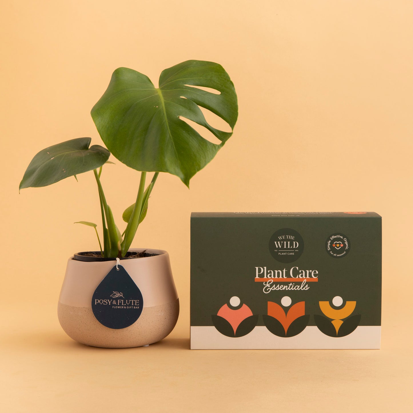 Plant + Essentials Kit