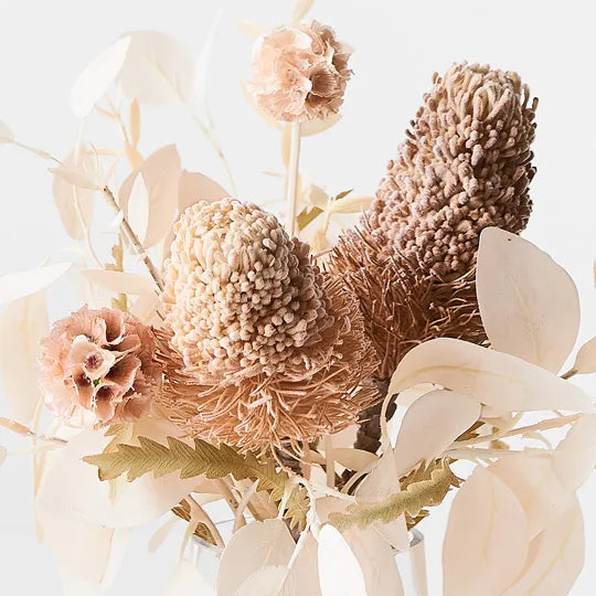 Banksia Acorn Mix