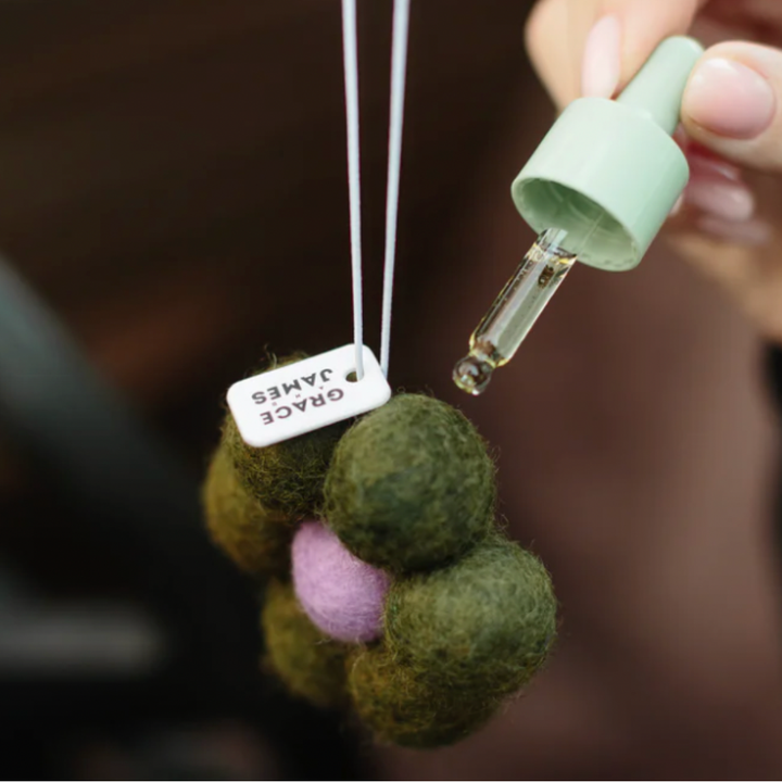 Yuzu, Lime & Coconut - Felt Air Freshener - Default Title