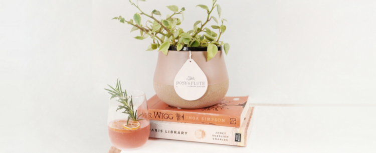INDOOR PLANTS mobile collection banner