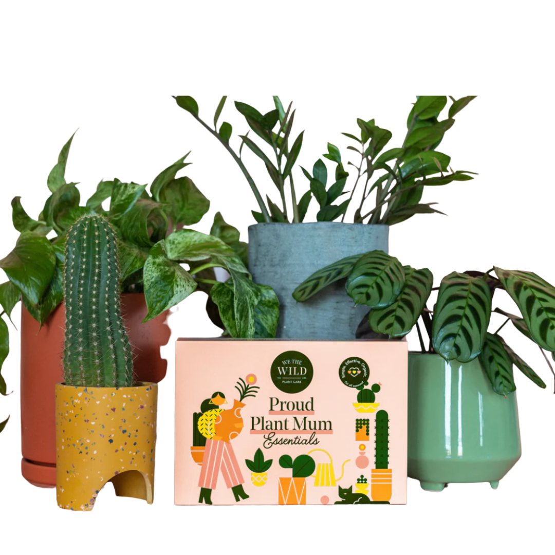 Plant Mum Kit
